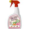 Fungus Clear Plant Shield Fungus Clear 800ml
