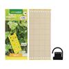 INSECT GLUE TRAP SET OF 4PCS C22218080