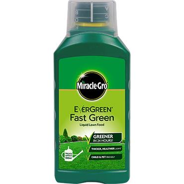 Evergreen Fast Green Liquid Concentrate