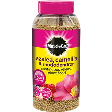 Miracle Gro Azalea Camellia Rhodo Food 1Kg