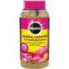 Miracle Gro Azalea Camellia Rhodo Food 1Kg