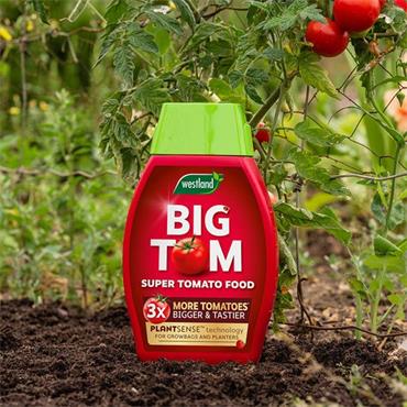 Big Tom Tomato Food 1L