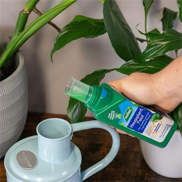 Westland Houseplant Concentrated Feed 200ml