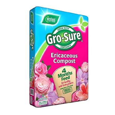 Westland+ Ericaceous Compost 50L