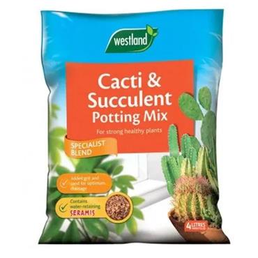 Westland Cacti & Succulent Potting Mix 4L