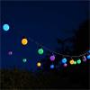Festoon String Lights 30 Pack