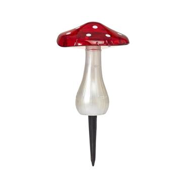 Magic Mushroom