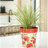 Creekwood Poppies & Bees Pot Medium 22cm