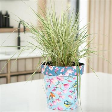 Creekwood Watercolour Birds Pot 22cm