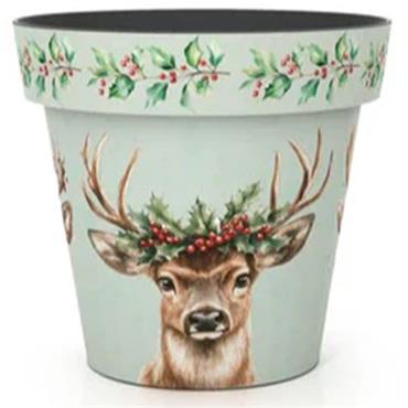 Christmas 18cm Pot Holly & Stags