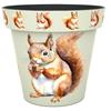 Creekwood 15cm Zest Pot Squirrel