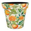 Creekwood 15cm Zest Pot Monda