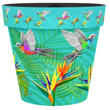 Creekwood 15cm Zest Pot Hummingbird