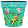 Creekwood 15cm Zest Pot Hummingbird