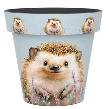 Creekwood 22cm Zest Pot Hedgehog