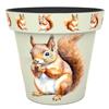 Creekwood 22cm Zest Pot Squirrel