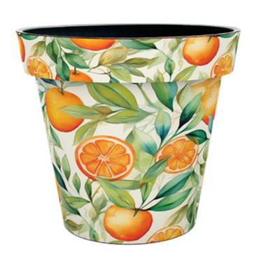 Creekwood 22cm Zest Pot Monda