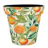 Creekwood 22cm Zest Pot Monda