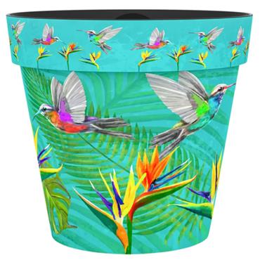 Creekwood 22cm Zest Pot Hummingbird