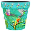 Creekwood 22cm Zest Pot Hummingbird