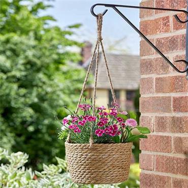 The Weaver Hanging Basket