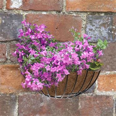 Wall Basket 16"