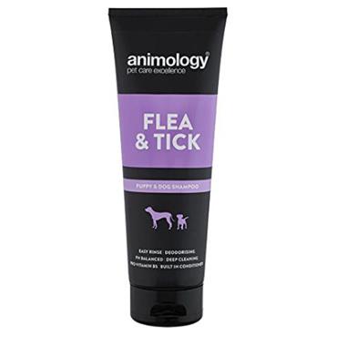 ANIMOLOGY  FLEA & TICK DOG SHAMPOO 500ML