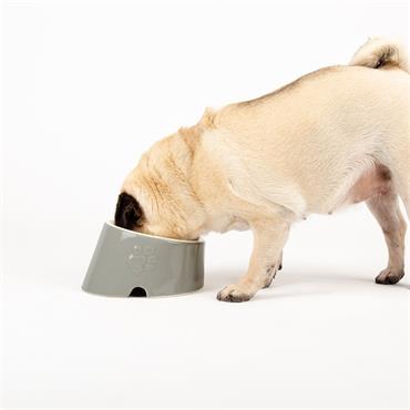 Scruffs Classic Slanted Pet Bowl 18cm