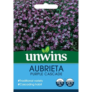 Unwins Aubrietia Purple Cascade Flower