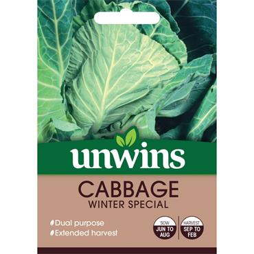 Unwins Cabbage Winter Green