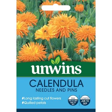 Unwins Calendula Needles & Pins Flower Seeds