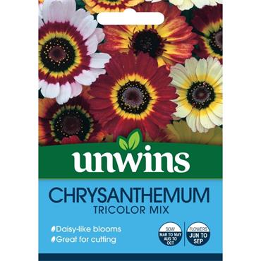 Unwins Chrysanthemum Tricolor Mixed Flower