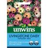 Unwins Livingstone Daisy Tapestry Flower
