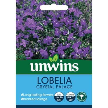 Unwins Lobelia Crystal Palace Flower