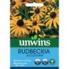 Unwins Rudbeckia Goldsturm