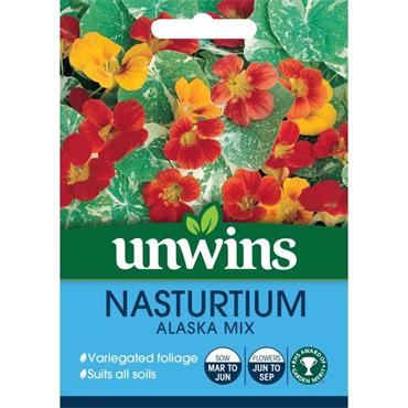 Unwins Nasturtium Alaska Mixed Flower
