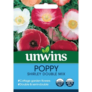Unwins Shirley Double Mix Flower