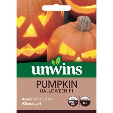 Unwins Pumpkin Halloween