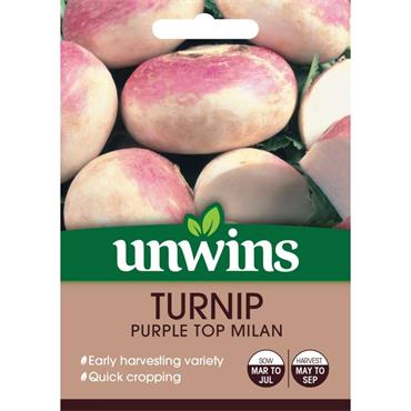 Unwins Purple Top Turnip Milan