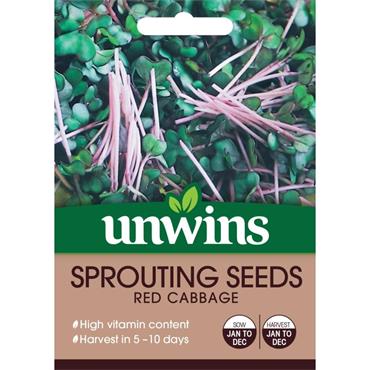 Unwins Sprouting Seeds Red Cabbage