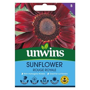 Unwins Sunflower Rouge Royale