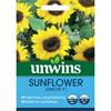 Unwins Sunflower Junior