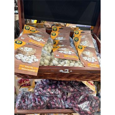 WCB ONIONS GARLIC SHALLOTS BULBS