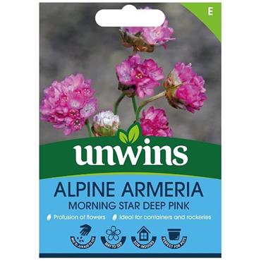 Unwins Alpine Armeria Morning Star Flower