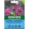 Unwins Alpine Armeria Morning Star Flower