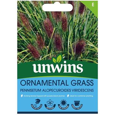 Unwins Pennisetum Alop Virir Flower