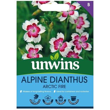 Unwins Dianthus Arctic Fire Flower