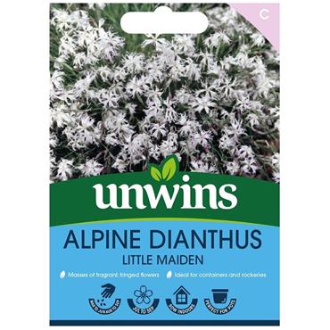 Unwins Dianthis Little Maiden Flower
