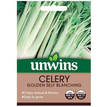 Unwins Celery Golden Self Blanching