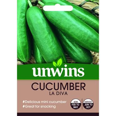 CUCUMBER (MINI) LA DIVA F1